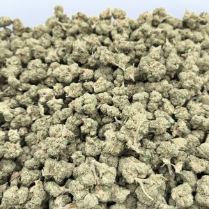 Small Buds Green House 10G